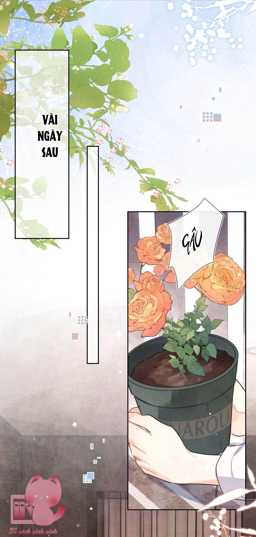 Tỏ Tình Chapter 50 - Trang 4