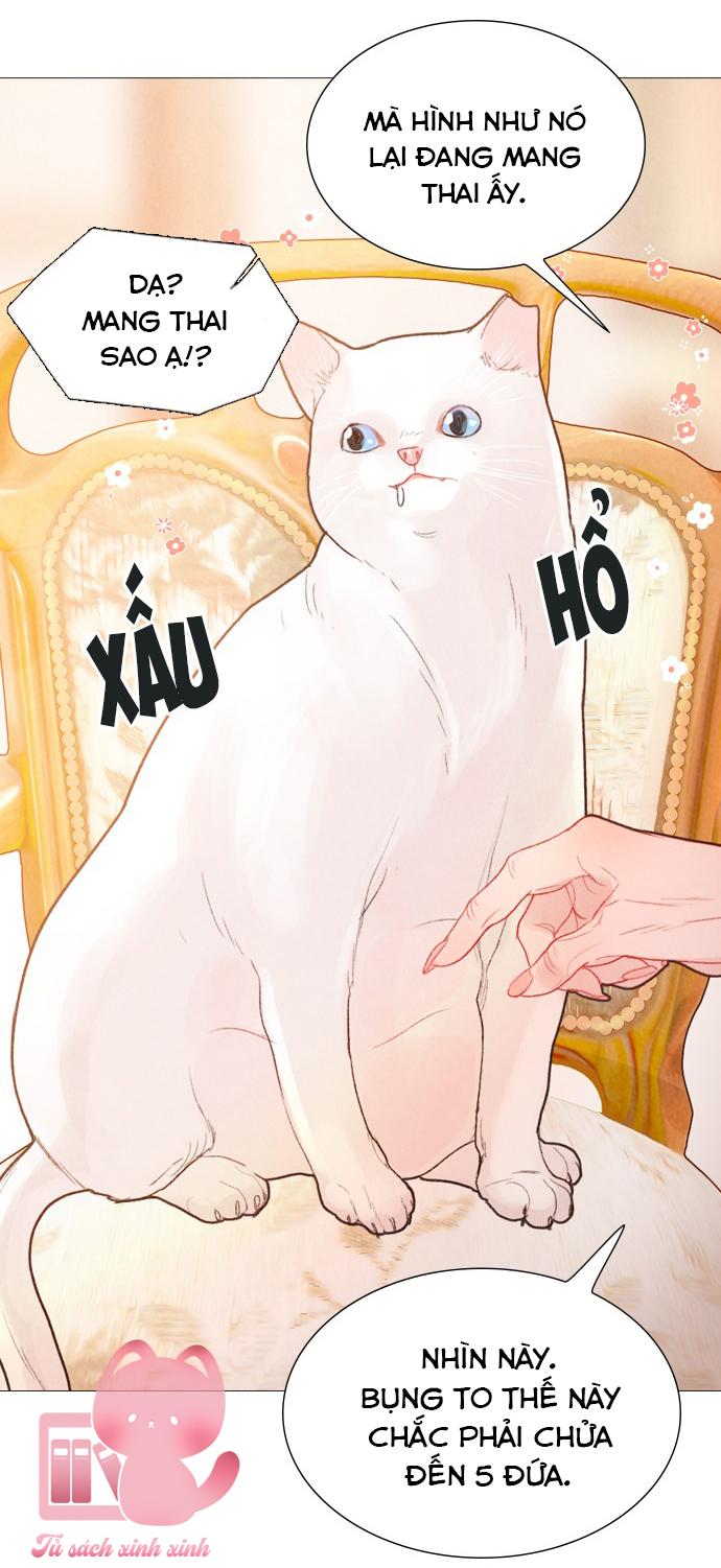 Thần Bí Chap 56 - Trang 2