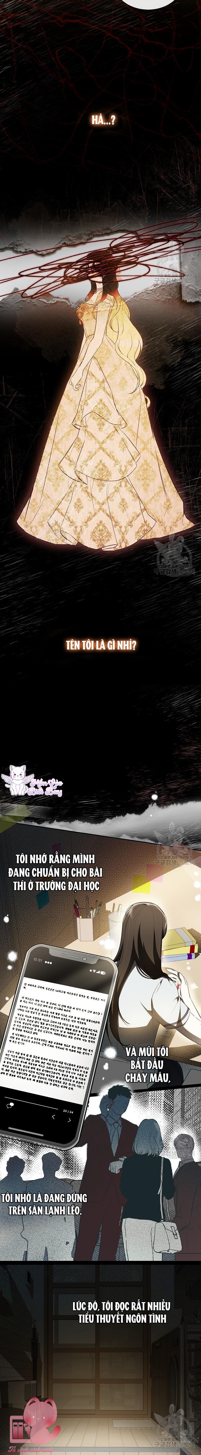 Hình Như Tôi Đã Xuyên Vào Cuốn Tiểu Thuyết Nào Đó Chapter 22 - Trang 4