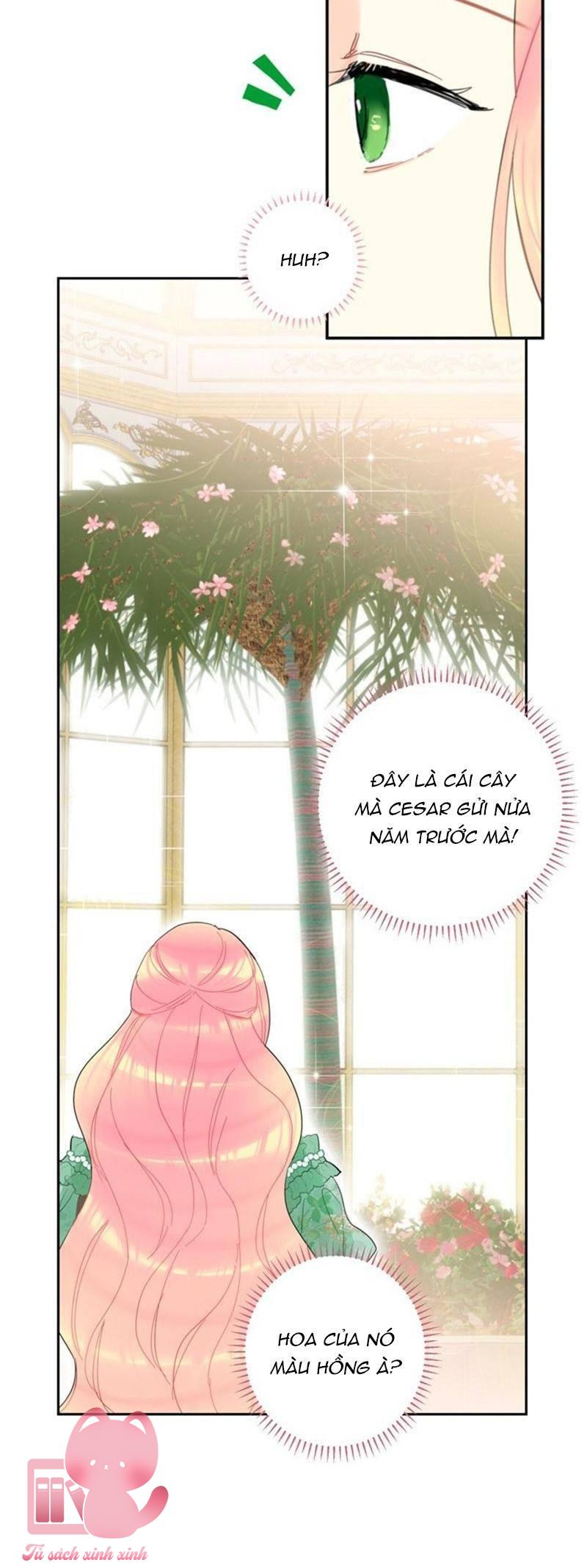 Ác Nữ Muốn Ly Hôn Chap 14 - Trang 2