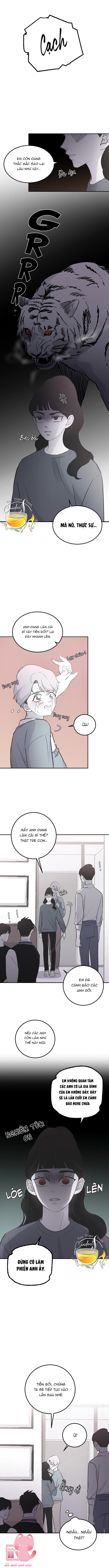 Ba Anh Trai Cực Phẩm Của Tôi Chap 15 - Trang 3