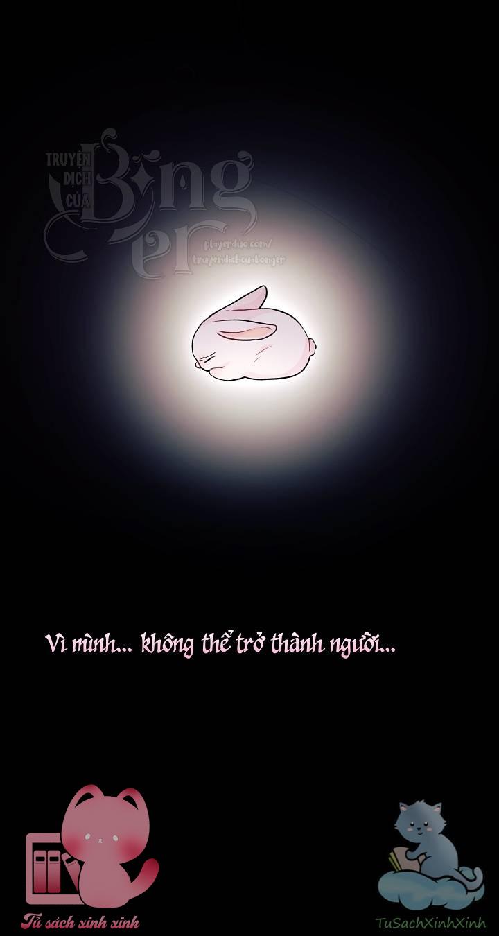 Quan Hệ Cộng Sinh Giữa Báo Đen Và Thỏ Trắng Chap 1 - Trang 2