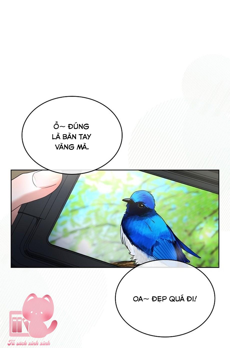 Debut Or Die Chapter 80 - Trang 4