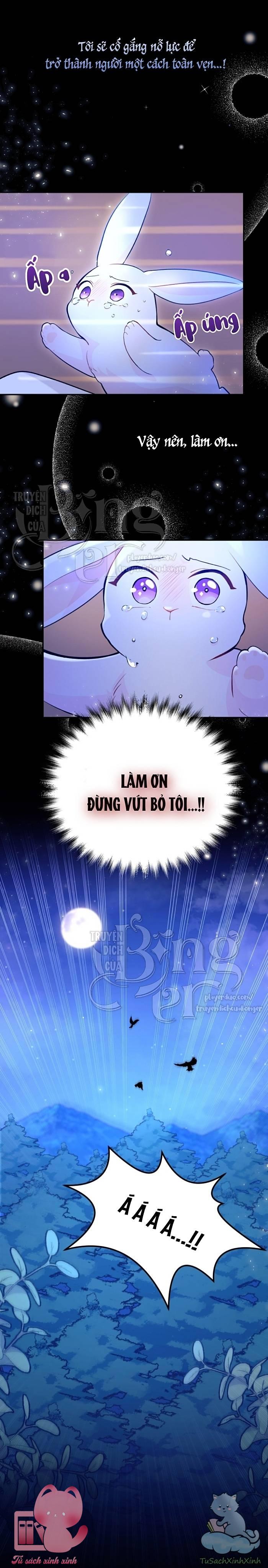 Quan Hệ Cộng Sinh Giữa Báo Đen Và Thỏ Trắng Chap 1 - Trang 2