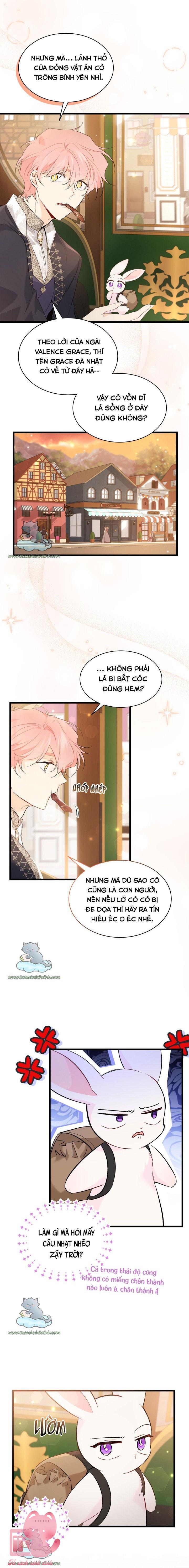 Quan Hệ Cộng Sinh Giữa Báo Đen Và Thỏ Trắng Chap 62 - Trang 2