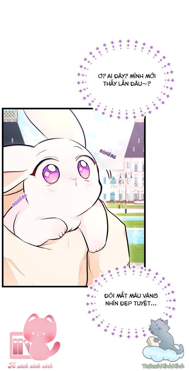 Quan Hệ Cộng Sinh Giữa Báo Đen Và Thỏ Trắng Chap 8 - Trang 2