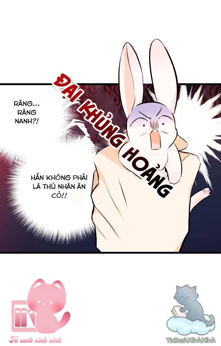 Quan Hệ Cộng Sinh Giữa Báo Đen Và Thỏ Trắng Chap 8 - Trang 2