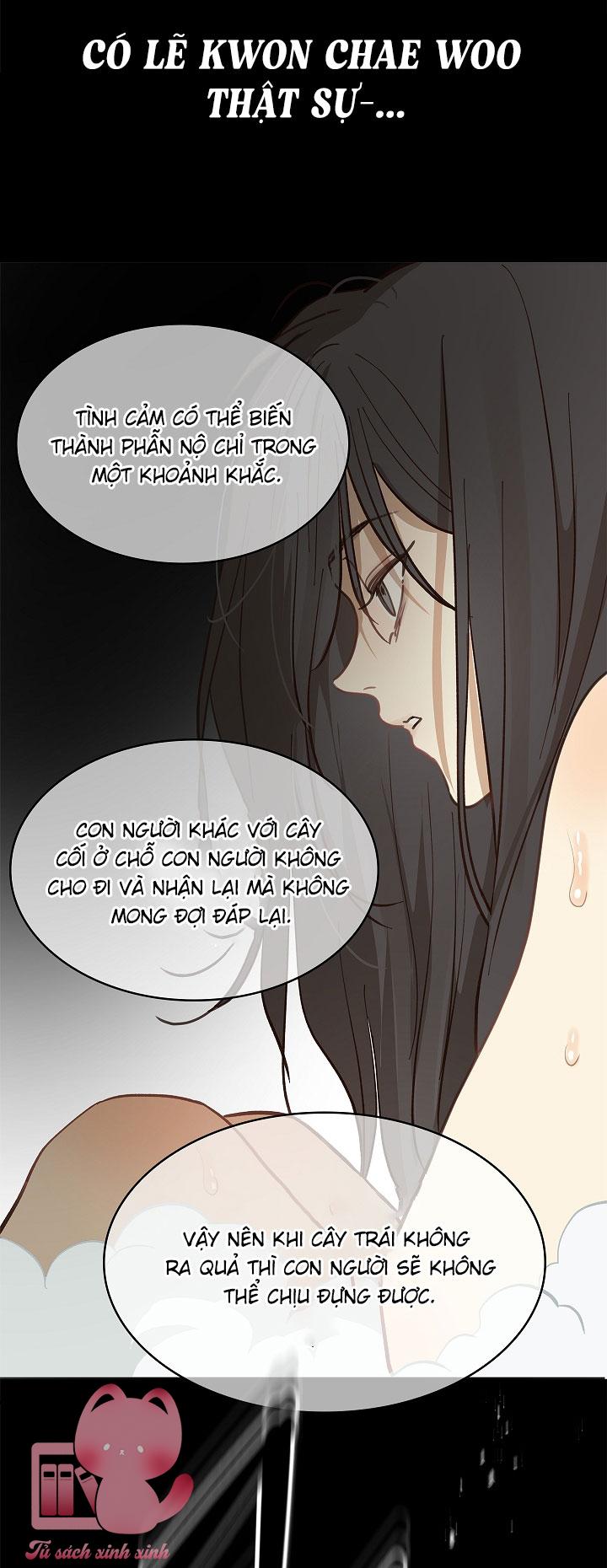 Đóa Hoa Là Mồi Nhử Chap 13 - Trang 4