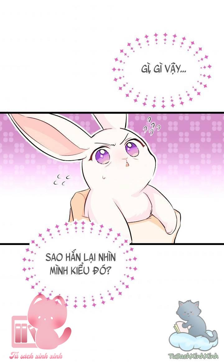 Quan Hệ Cộng Sinh Giữa Báo Đen Và Thỏ Trắng Chap 9 - Trang 2