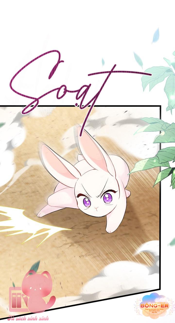 Quan Hệ Cộng Sinh Giữa Báo Đen Và Thỏ Trắng Chap 82 - Trang 2