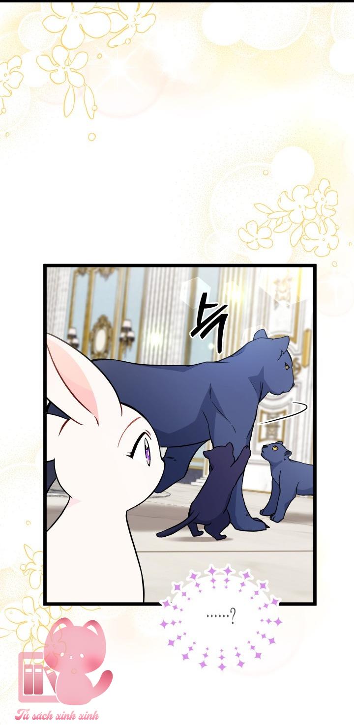 Quan Hệ Cộng Sinh Giữa Báo Đen Và Thỏ Trắng Chap 134 - Trang 2