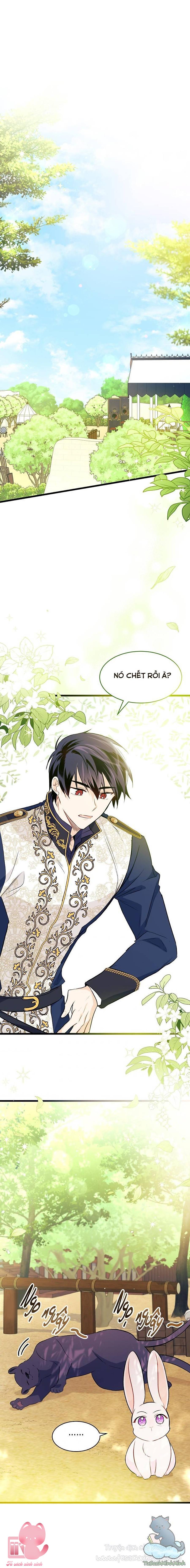 Quan Hệ Cộng Sinh Giữa Báo Đen Và Thỏ Trắng Chap 26 - Trang 2