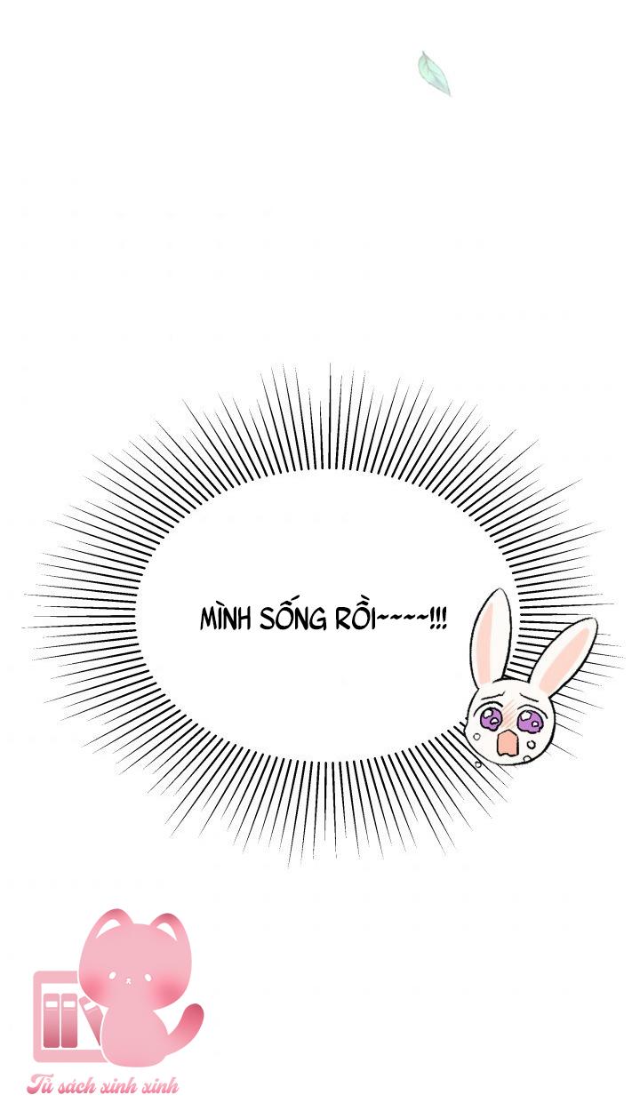 Quan Hệ Cộng Sinh Giữa Báo Đen Và Thỏ Trắng Chap 48 - Trang 2