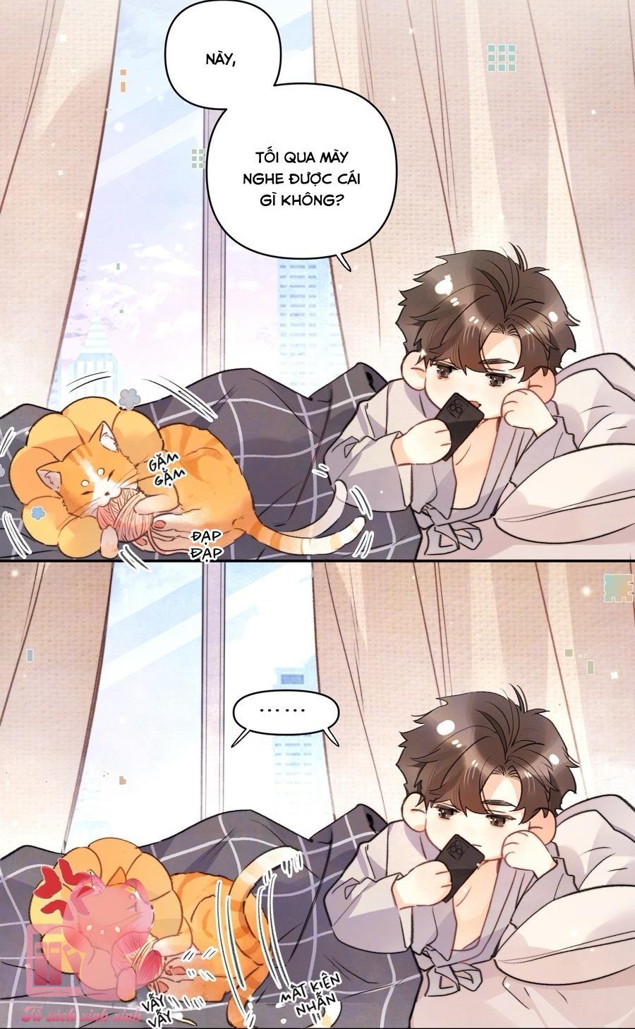 Tỏ Tình Chapter 52 - Trang 4