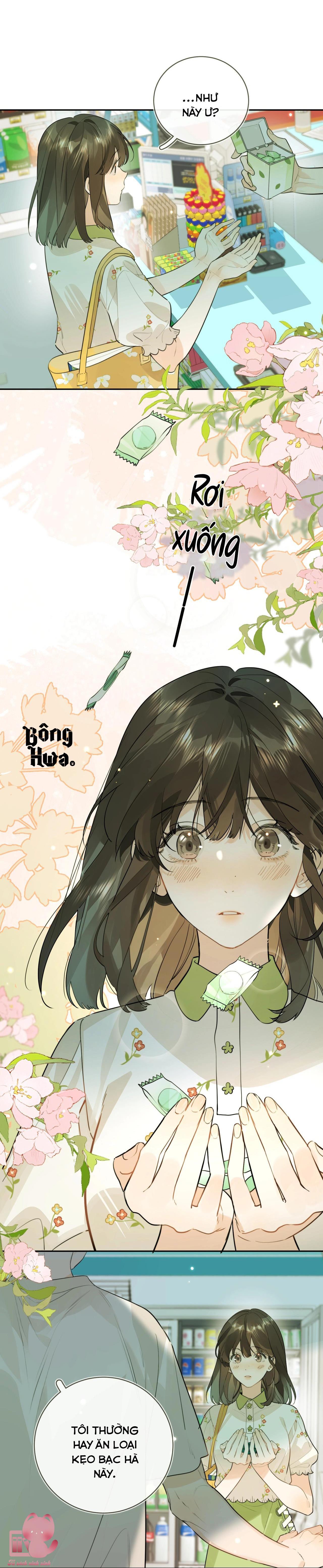 Tỏ Tình Chapter 11 - Trang 4