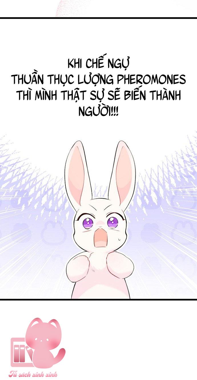 Quan Hệ Cộng Sinh Giữa Báo Đen Và Thỏ Trắng Chap 47 - Trang 2