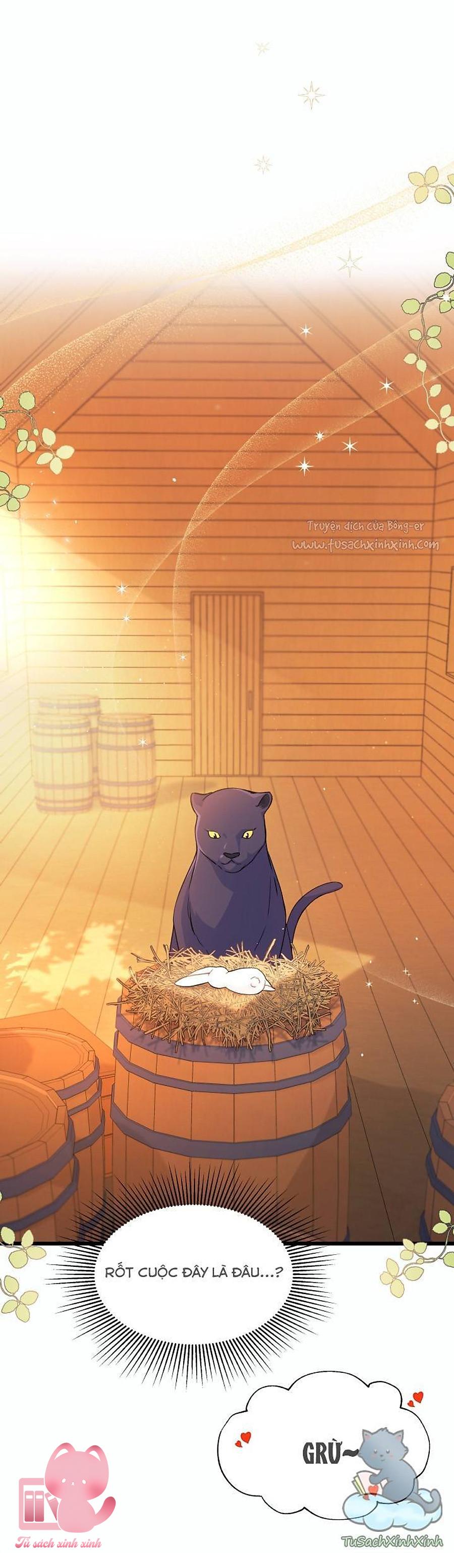 Quan Hệ Cộng Sinh Giữa Báo Đen Và Thỏ Trắng Chap 28 - Trang 2