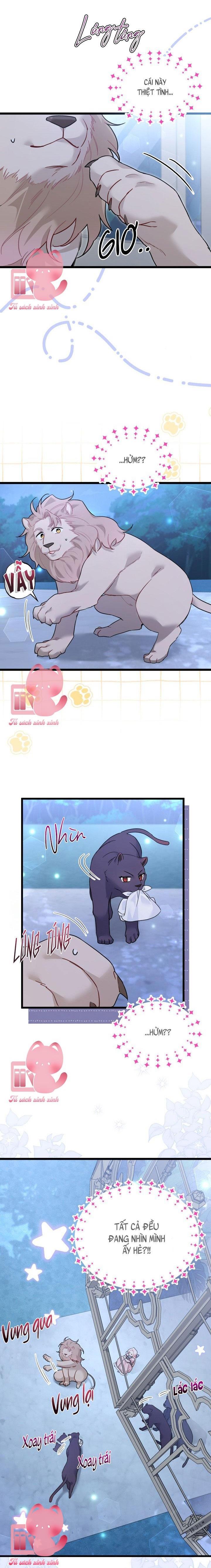 Quan Hệ Cộng Sinh Giữa Báo Đen Và Thỏ Trắng Chap 107 - Trang 2