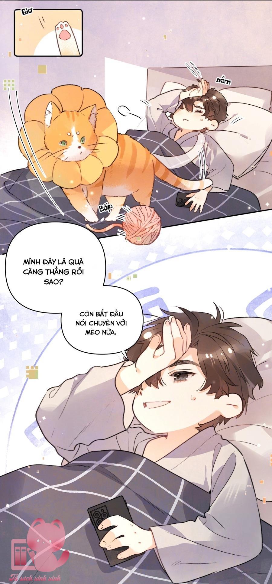 Tỏ Tình Chapter 52 - Trang 4