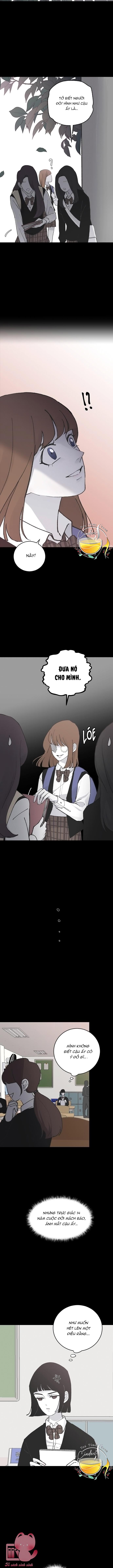 Ba Anh Trai Cực Phẩm Của Tôi Chap 13 - Trang 3