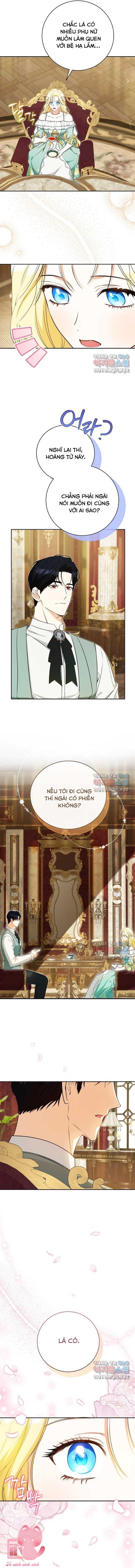 Hình Như Tôi Đã Xuyên Vào Cuốn Tiểu Thuyết Nào Đó Chapter 28 - Trang 4
