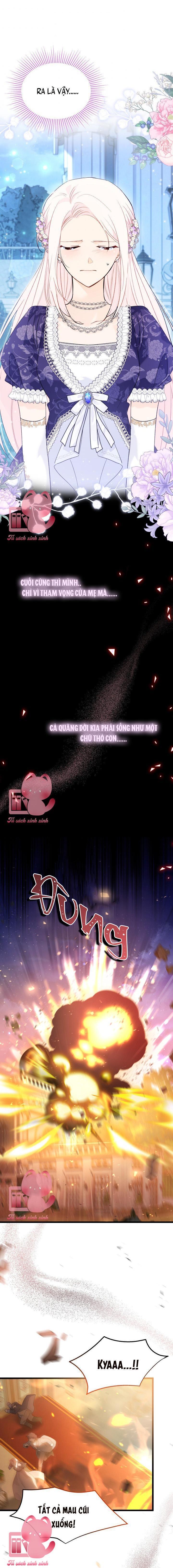 Quan Hệ Cộng Sinh Giữa Báo Đen Và Thỏ Trắng Chap 67 - Trang 2