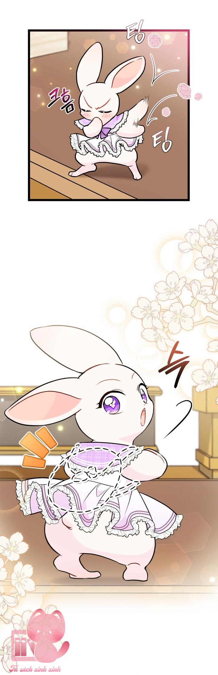 Quan Hệ Cộng Sinh Giữa Báo Đen Và Thỏ Trắng Chap 135 - Trang 2