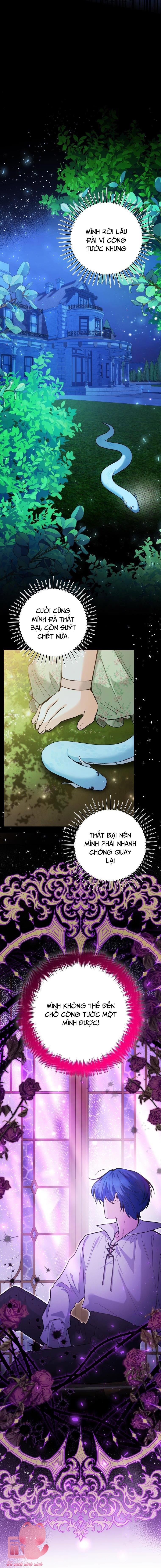 Bé Con Cá Voi Sát Thủ Chapter 39 - Trang 4
