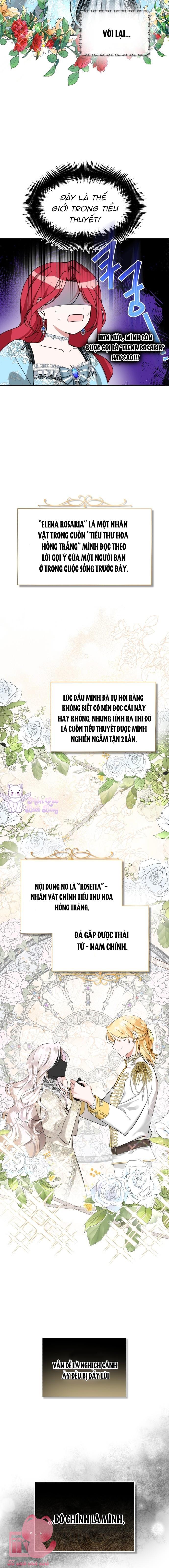 Ta Sẽ Sống Thử Cuộc Đời Của Ác Nữ Chap 1 - Trang 2