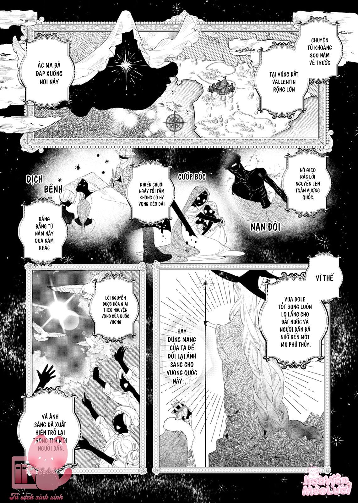 Hoa Hồng Ẩn Giấu Sao Băng Chapter 3 - Trang 4