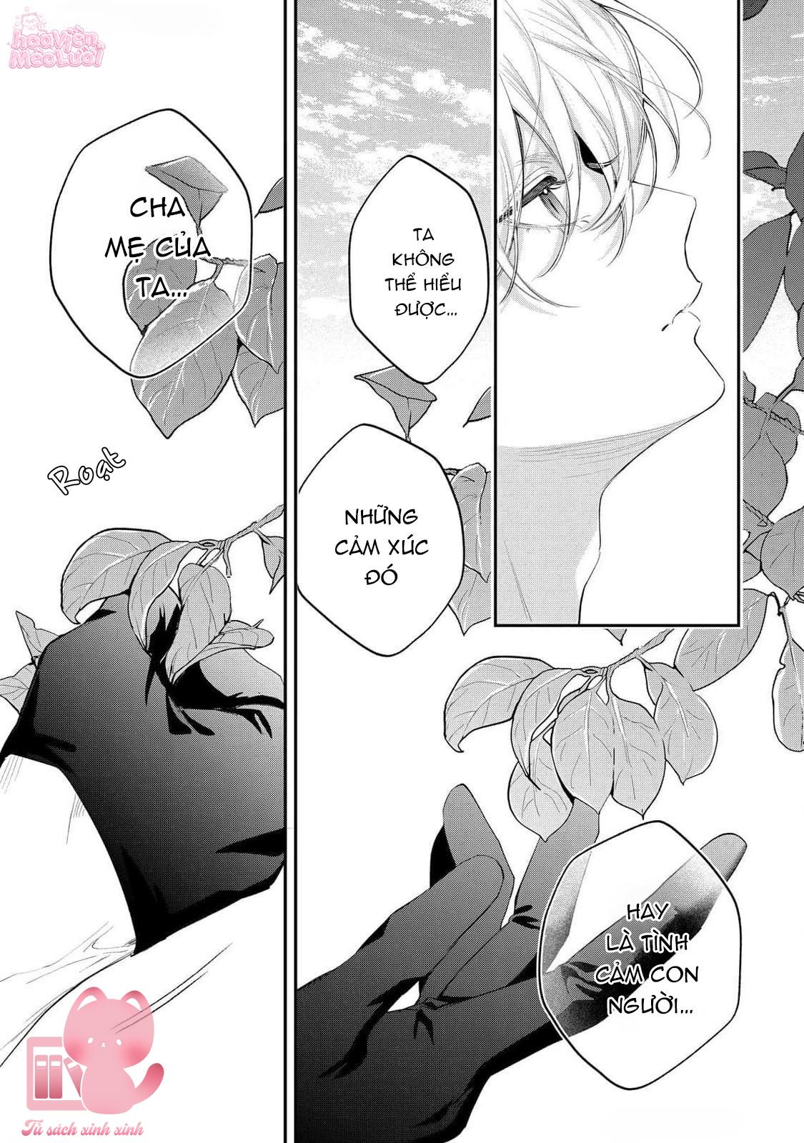 Hoa Hồng Ẩn Giấu Sao Băng Chapter 12 - Trang 4