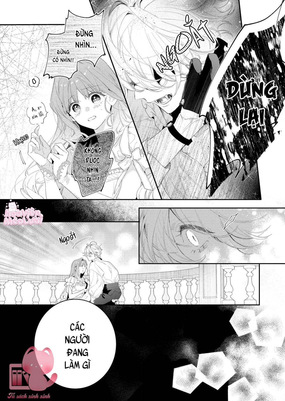 Hoa Hồng Ẩn Giấu Sao Băng Chapter 3 - Trang 4