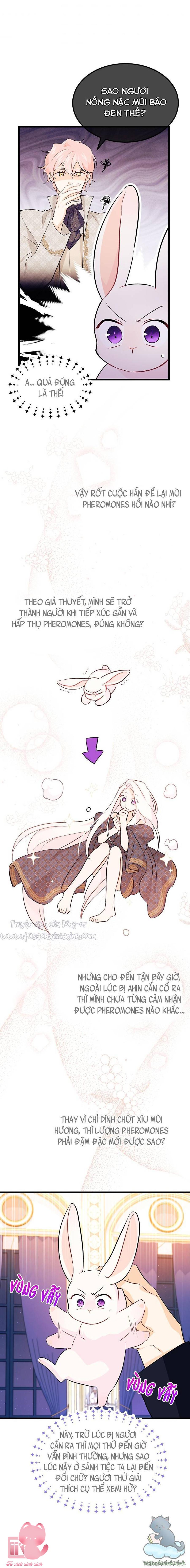Quan Hệ Cộng Sinh Giữa Báo Đen Và Thỏ Trắng Chap 22 - Trang 2