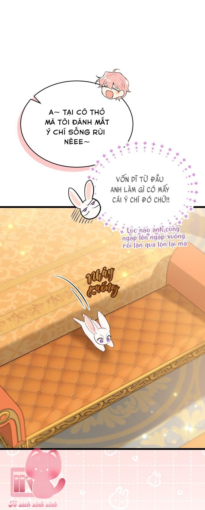 Quan Hệ Cộng Sinh Giữa Báo Đen Và Thỏ Trắng Chap 63 - Trang 2