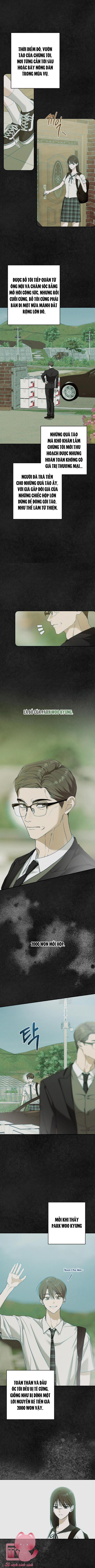 Bóng Râm Mùa Xuân Chapter 8 - Trang 4