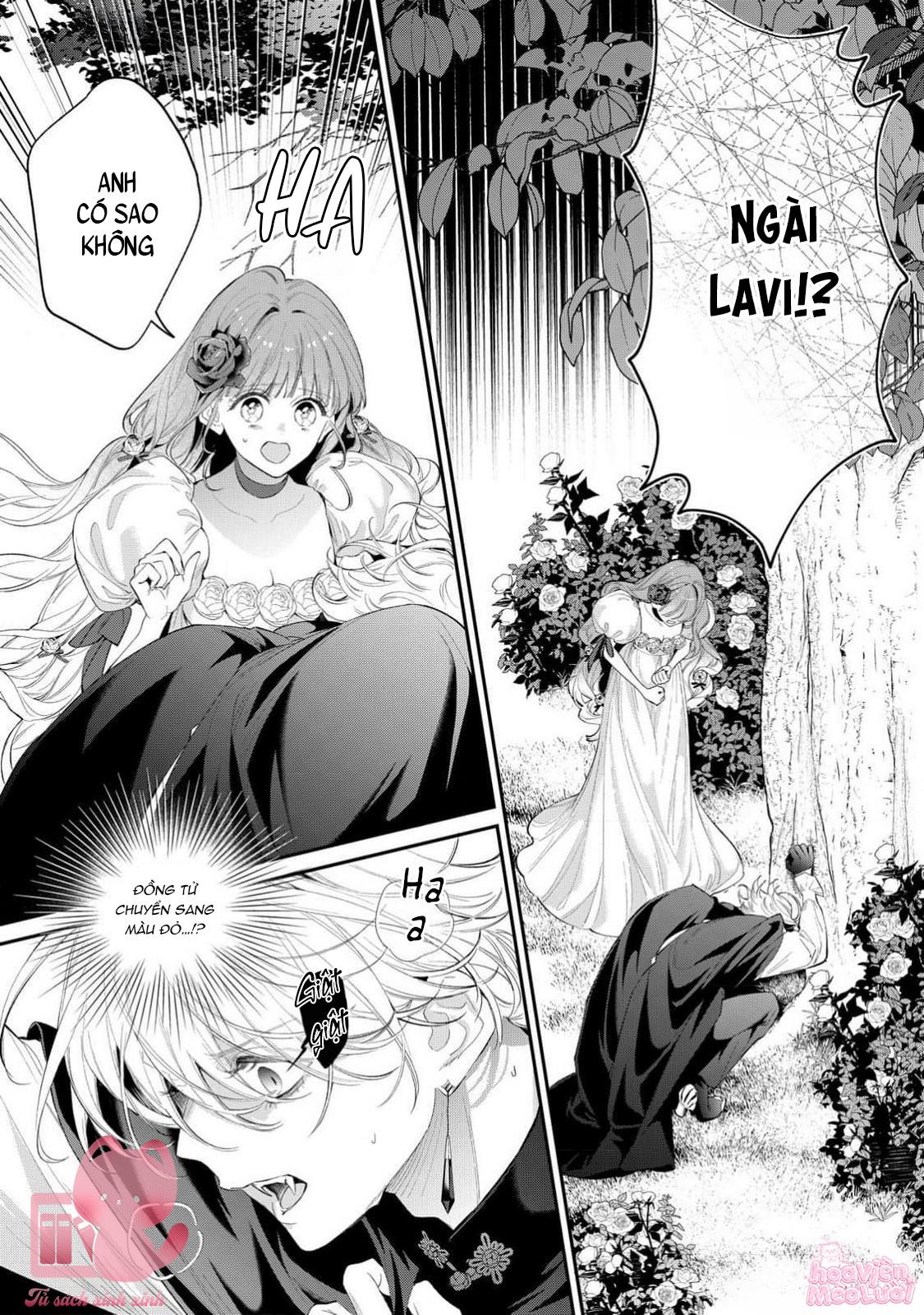 Hoa Hồng Ẩn Giấu Sao Băng Chapter 14 - Trang 4