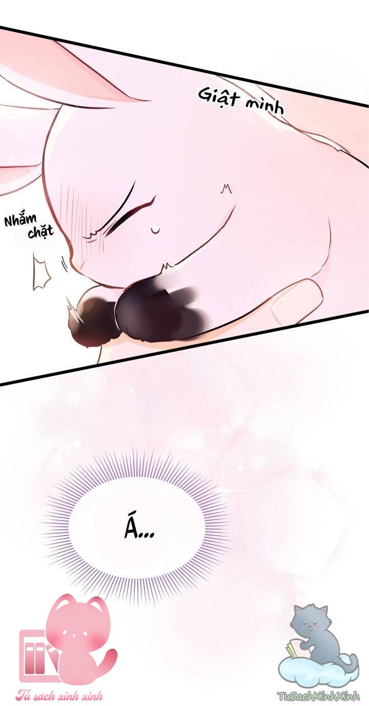 Quan Hệ Cộng Sinh Giữa Báo Đen Và Thỏ Trắng Chap 10 - Trang 2