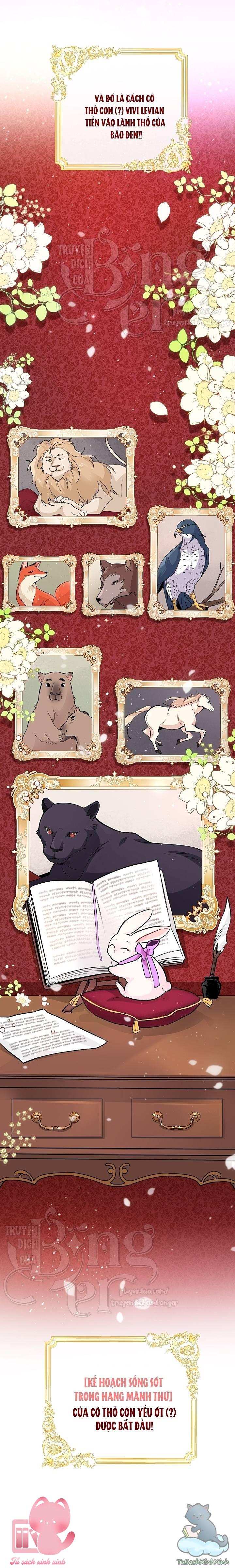 Quan Hệ Cộng Sinh Giữa Báo Đen Và Thỏ Trắng Chap 1 - Trang 2