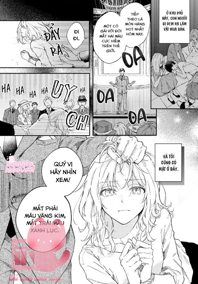 Đêm Nay, Bày Tỏ Lòng Trung Thành Ngọt Ngào Tại Nhà Lorenzi Chapter 1 - Trang 3