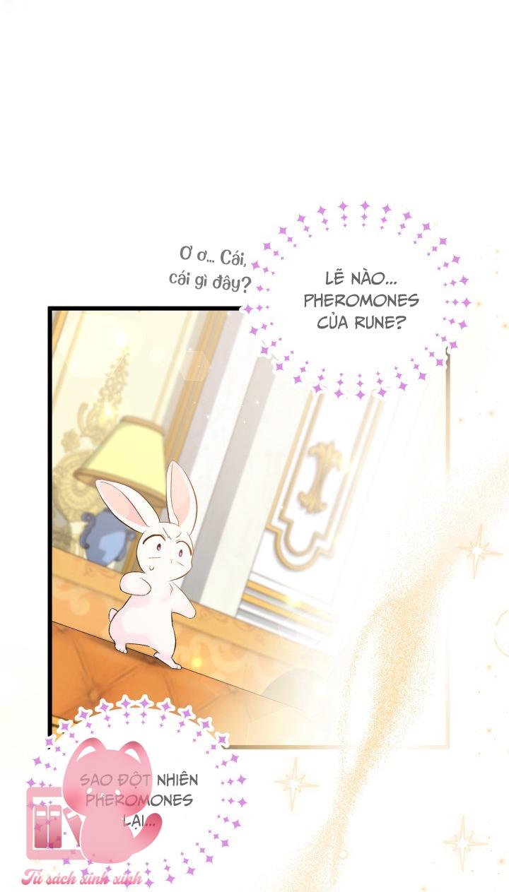 Quan Hệ Cộng Sinh Giữa Báo Đen Và Thỏ Trắng Chap 63 - Trang 2