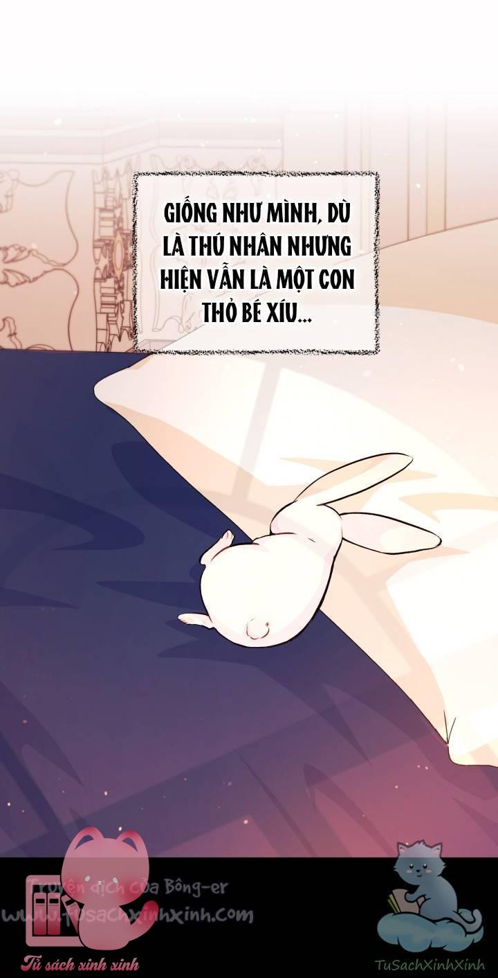 Quan Hệ Cộng Sinh Giữa Báo Đen Và Thỏ Trắng Chap 5 - Trang 2
