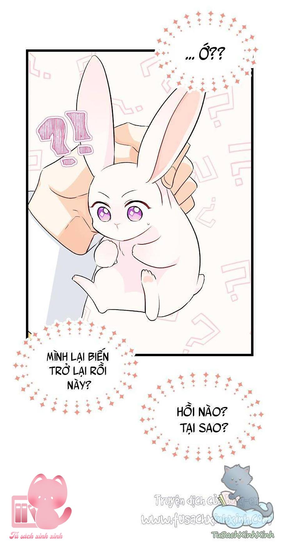 Quan Hệ Cộng Sinh Giữa Báo Đen Và Thỏ Trắng Chap 21 - Trang 2