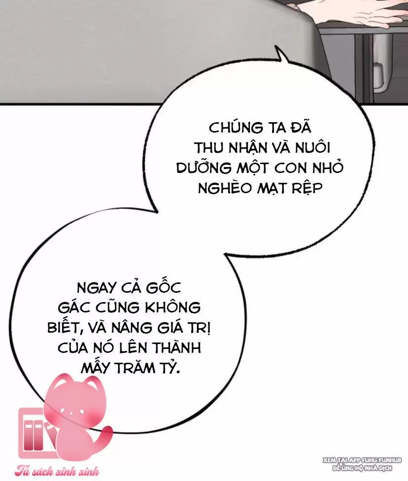 Xác Suất Tình Yêu Chapter 17 - Trang 3