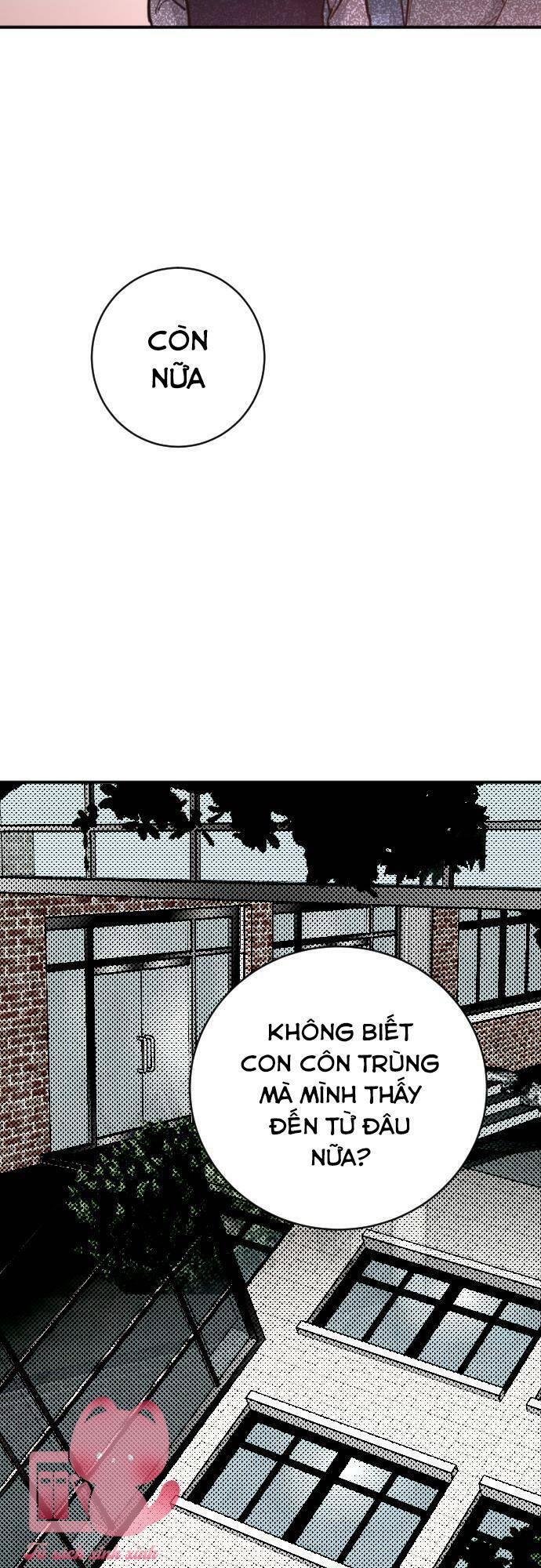 Đêm Của Bóng Tối Chapter 12 - Trang 4