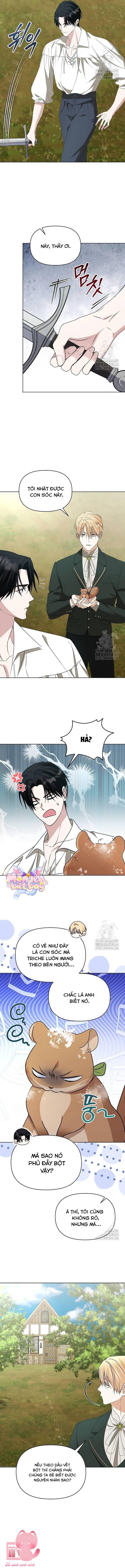 Trở Thành Con Gái Nuôi Của Gia Tộc Sát Thủ Chap 56 - Trang 4