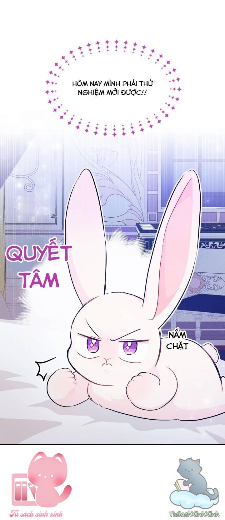 Quan Hệ Cộng Sinh Giữa Báo Đen Và Thỏ Trắng Chap 16 - Trang 2