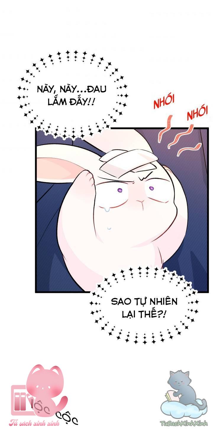 Quan Hệ Cộng Sinh Giữa Báo Đen Và Thỏ Trắng Chap 6 - Trang 2