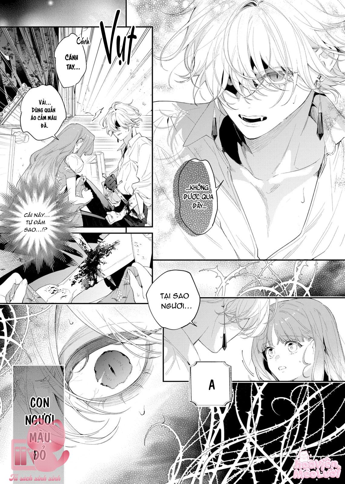 Hoa Hồng Ẩn Giấu Sao Băng Chapter 4 - Trang 4