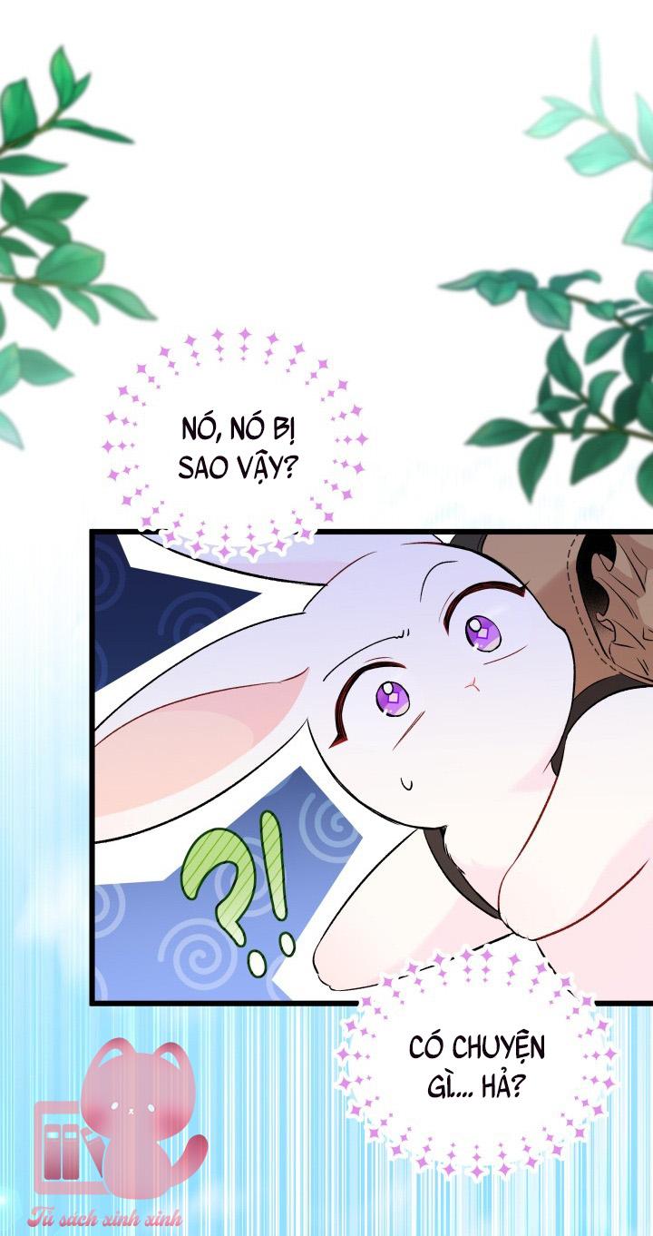Quan Hệ Cộng Sinh Giữa Báo Đen Và Thỏ Trắng Chap 60 - Trang 2