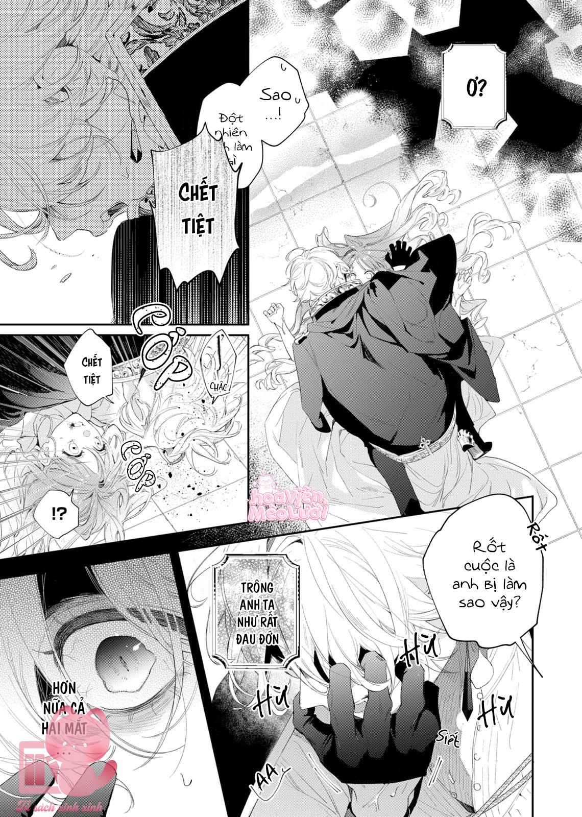 Hoa Hồng Ẩn Giấu Sao Băng Chapter 2 - Trang 4